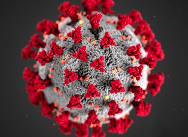 2019-coronavirus.png-2